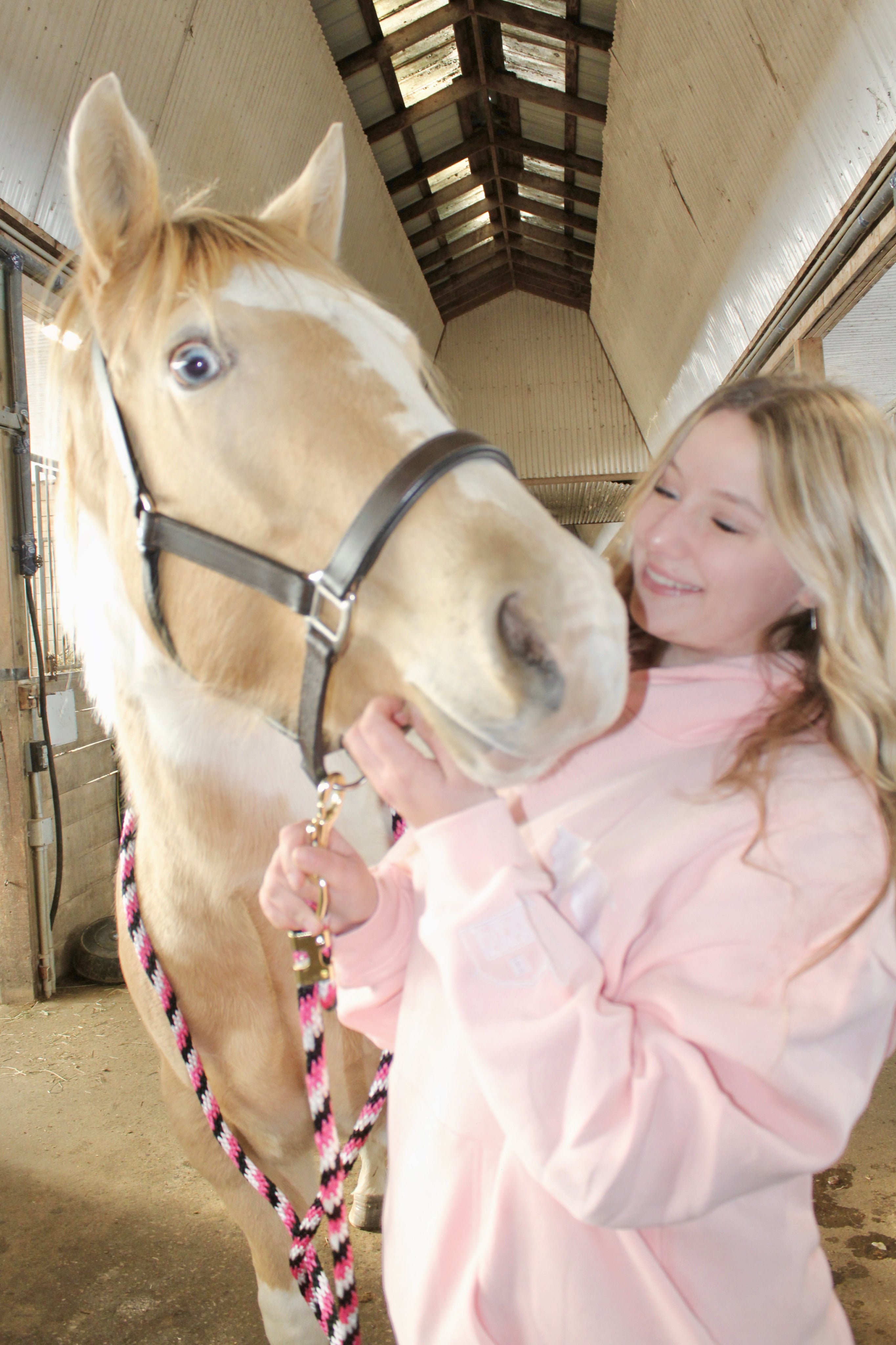 “Hazel Fields” Hoodie in Blushing Skies
