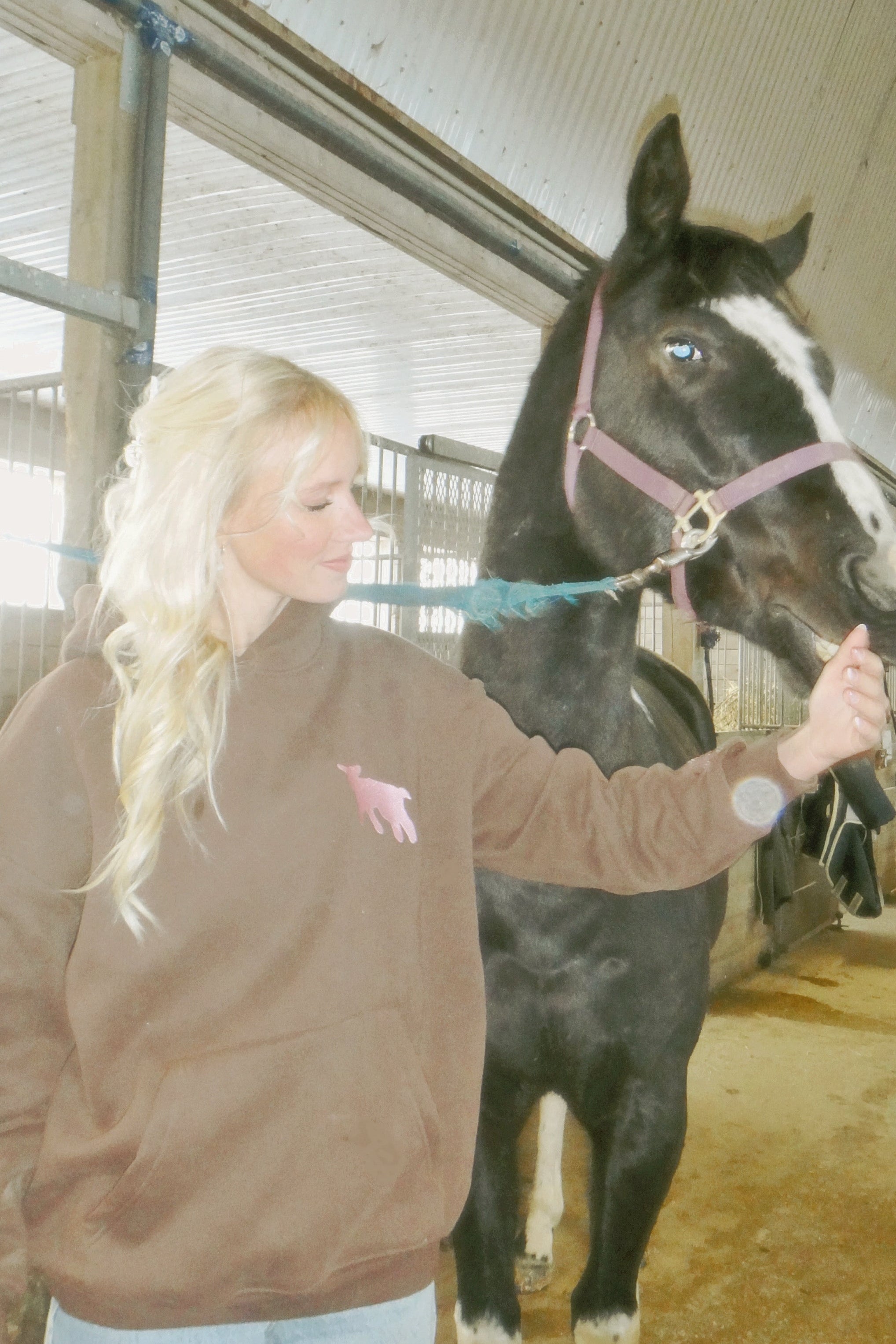 “Hazel Fields” Hoodie in Chestnut