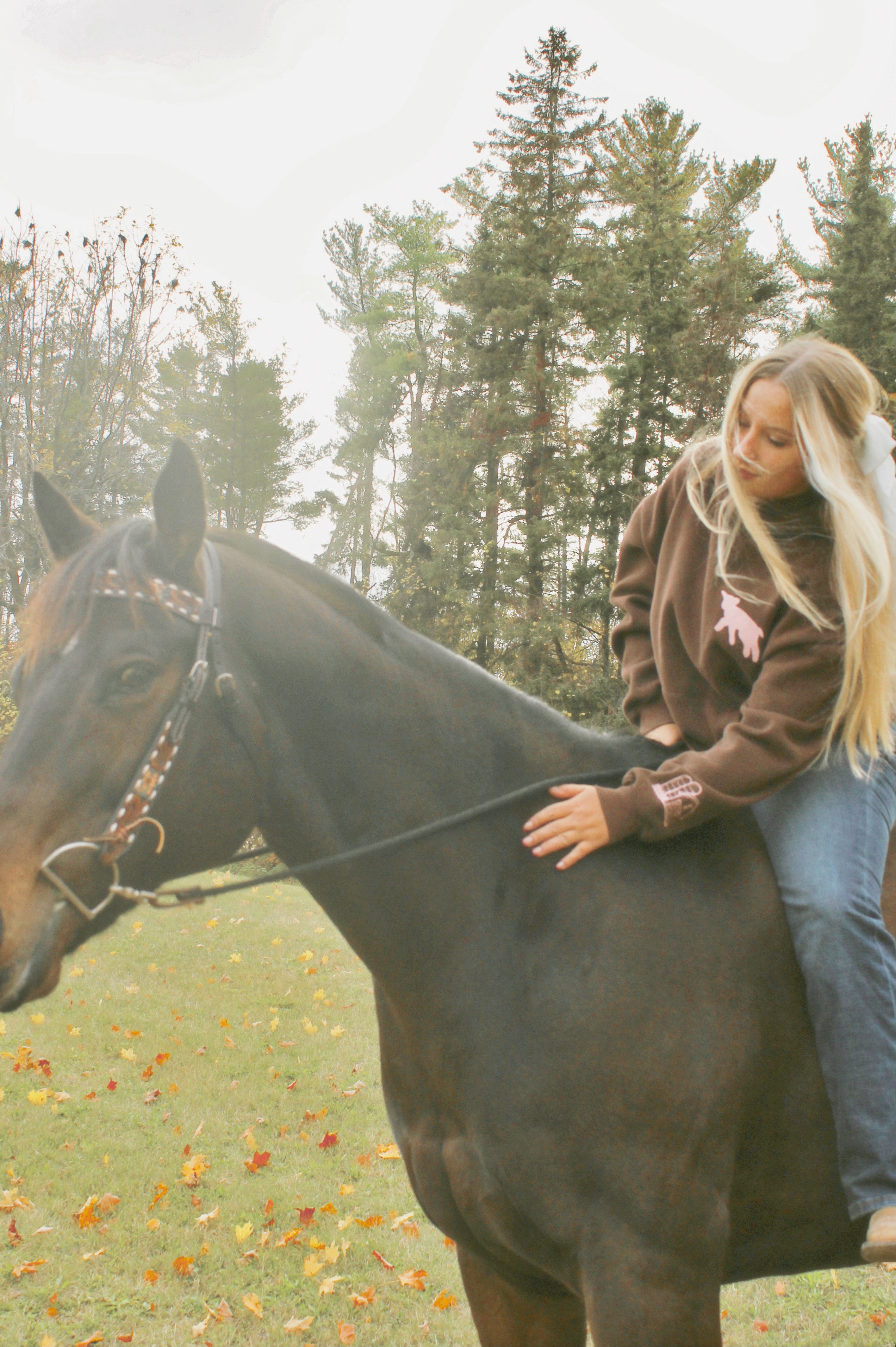 “Hazel Fields” Hoodie in Chestnut
